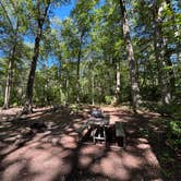Review photo of Clarence Fahnestock State Park Campground by Kelly B., September 9, 2026