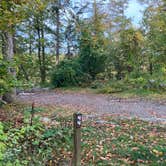 Review photo of Clarence Fahnestock State Park — Clarence Fahnestock Memorial State Park by Roger W., October 18, 2023