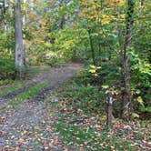 Review photo of Clarence Fahnestock State Park — Clarence Fahnestock Memorial State Park by Roger W., October 18, 2023