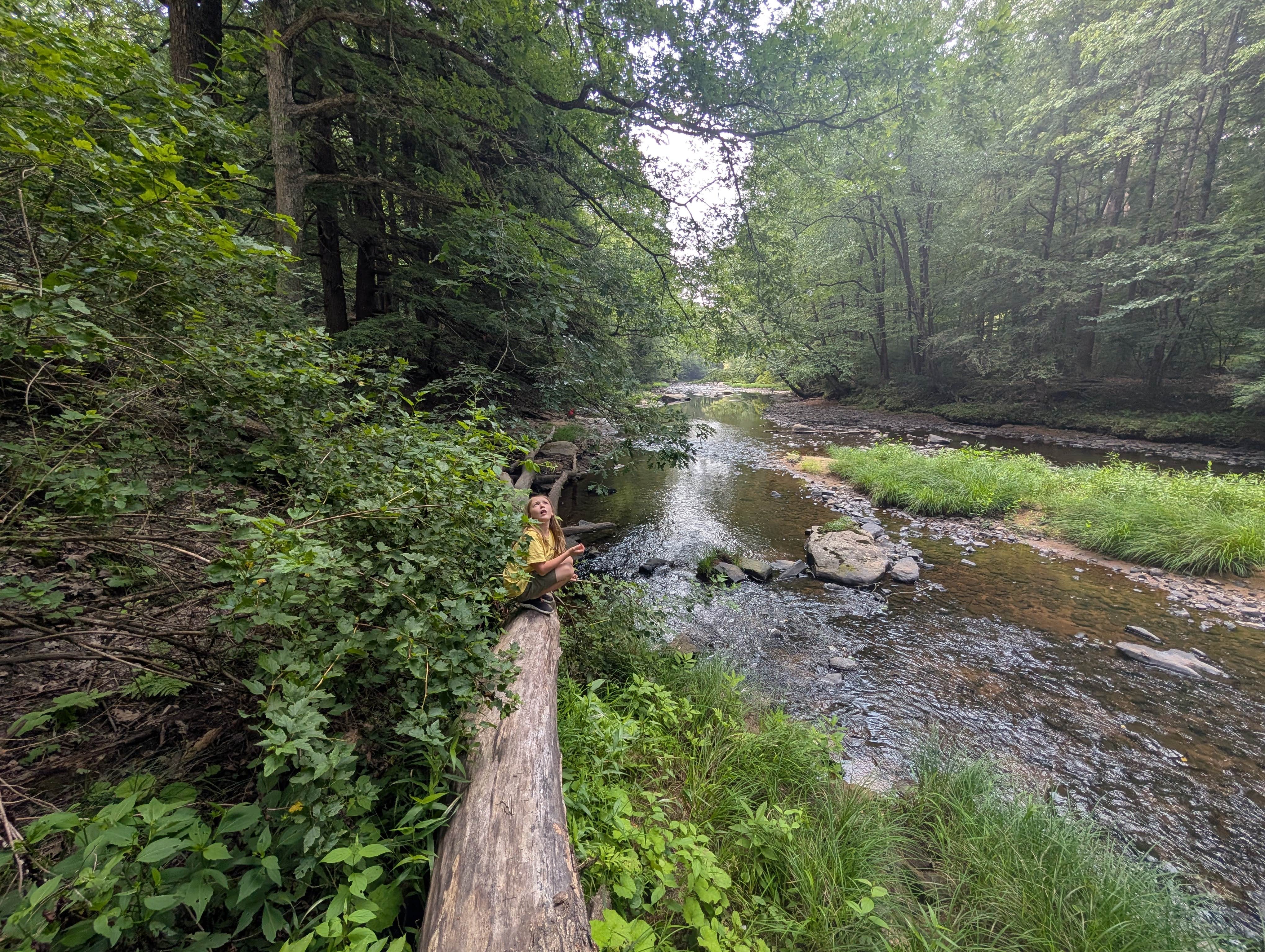 Camper-submitted photo at Clarion River Campground near Brockway, PA