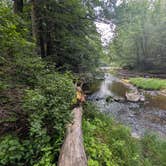 Review photo of Clarion River Campground by Dani T., August 7, 2025