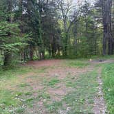 Review photo of Clarion River Campground by Chris M., May 22, 2026