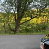 Review photo of Clarion River Campground by Chris M., May 22, 2026