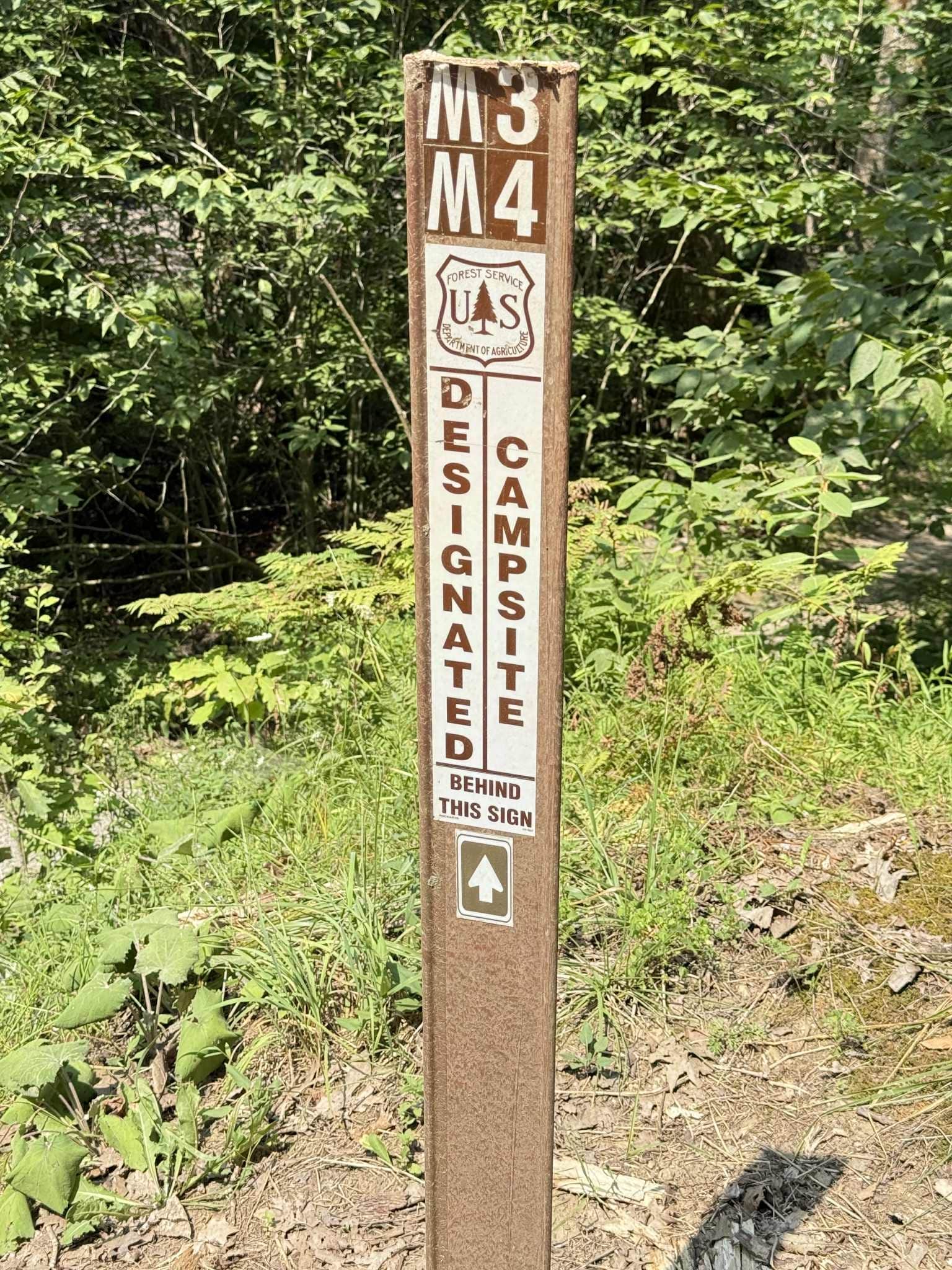 Camping near Kelly Pines Campground: Clarion River Campground, Clarington, Pennsylvania