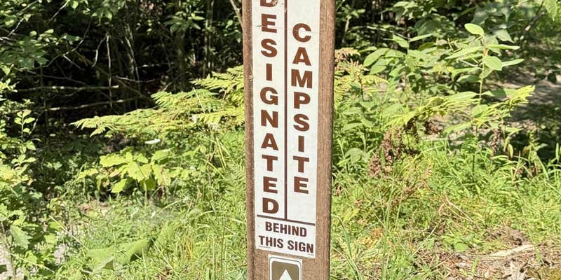 Camper submitted image from Clarion River Campground