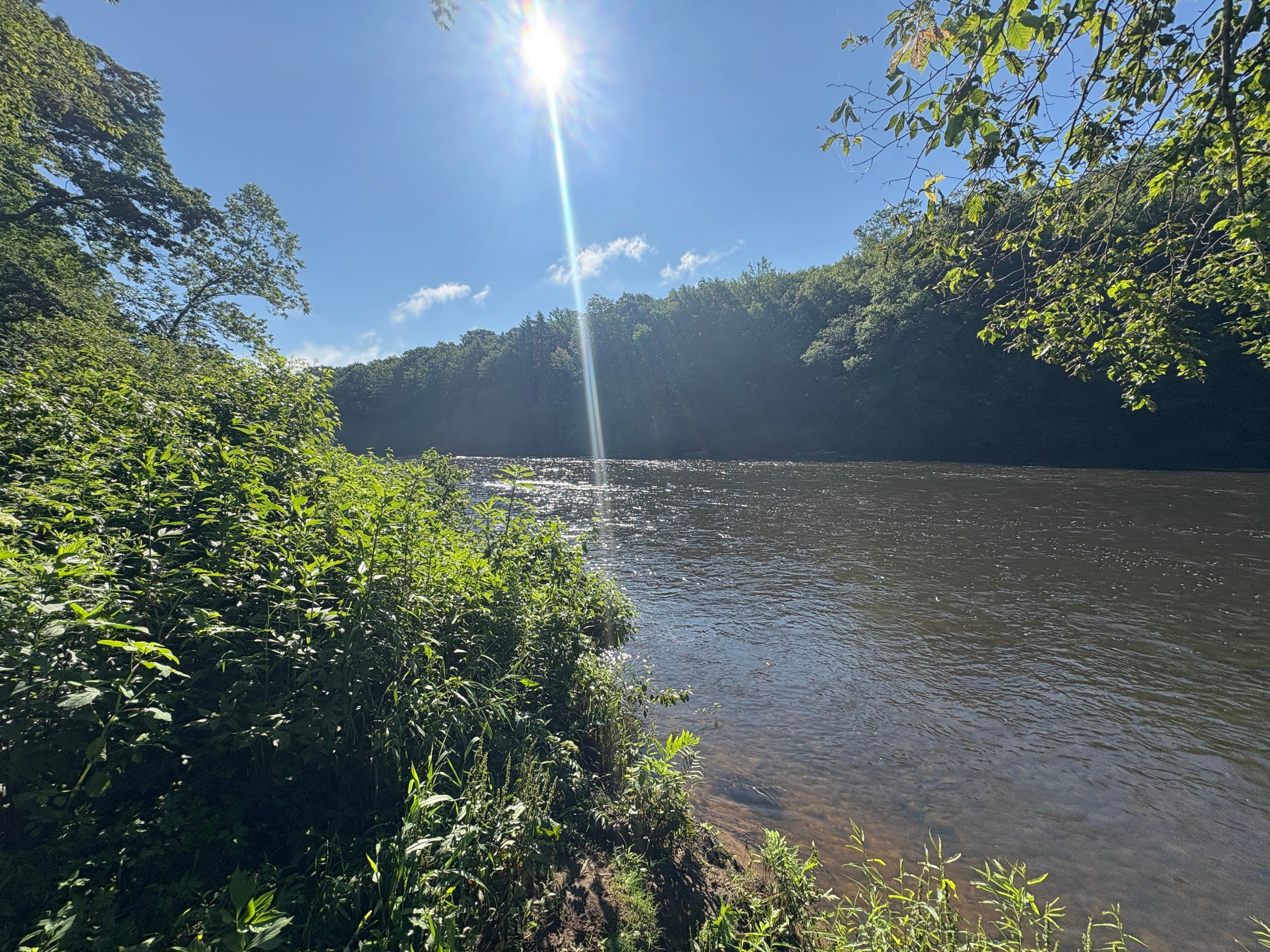 evan's photo of a dispersed camping area at Clarion River Campground near Tionesta, PA