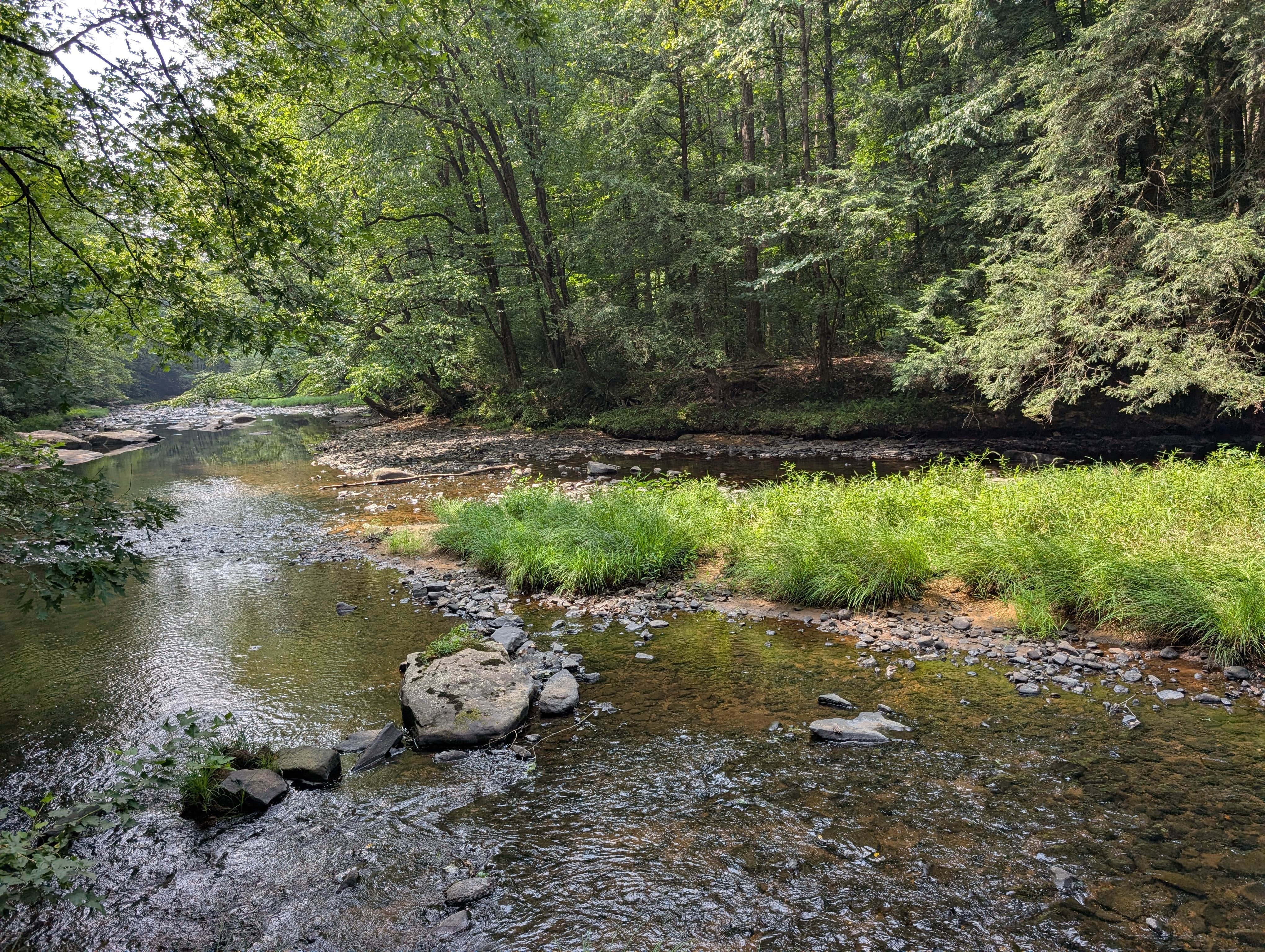 Camper-submitted photo at Clarion River Campground near Tionesta, PA