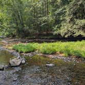 Review photo of Clarion River Campground by Dani T., August 7, 2025