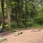 Review photo of Clarion River Campground by evan , July 8, 2025
