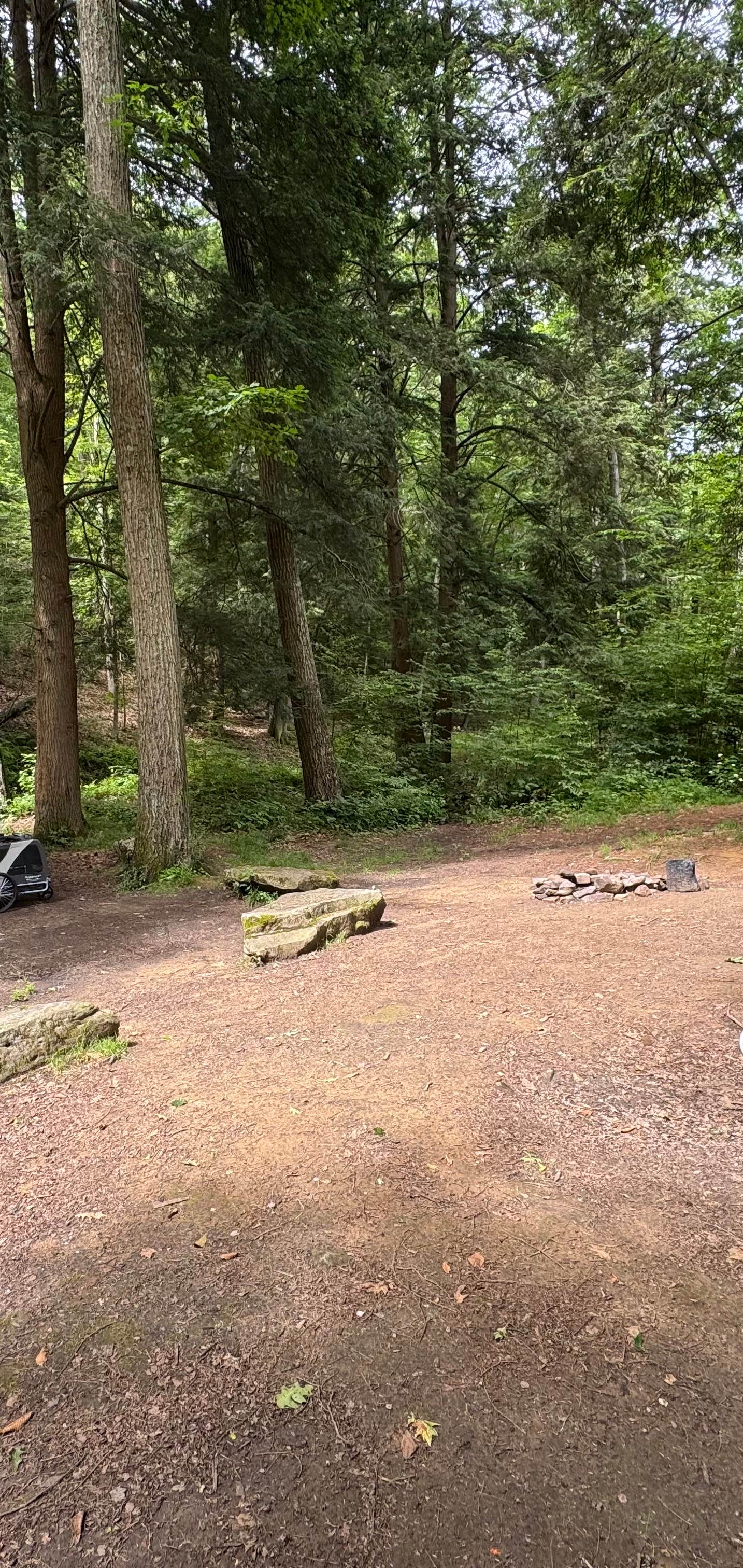 Camper submitted image from Clarion River Campground - 2