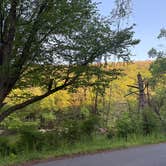 Review photo of Clarion River Campground by Chris M., May 22, 2026