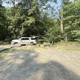 Review photo of Clarion River Campground by Dani T., August 7, 2025