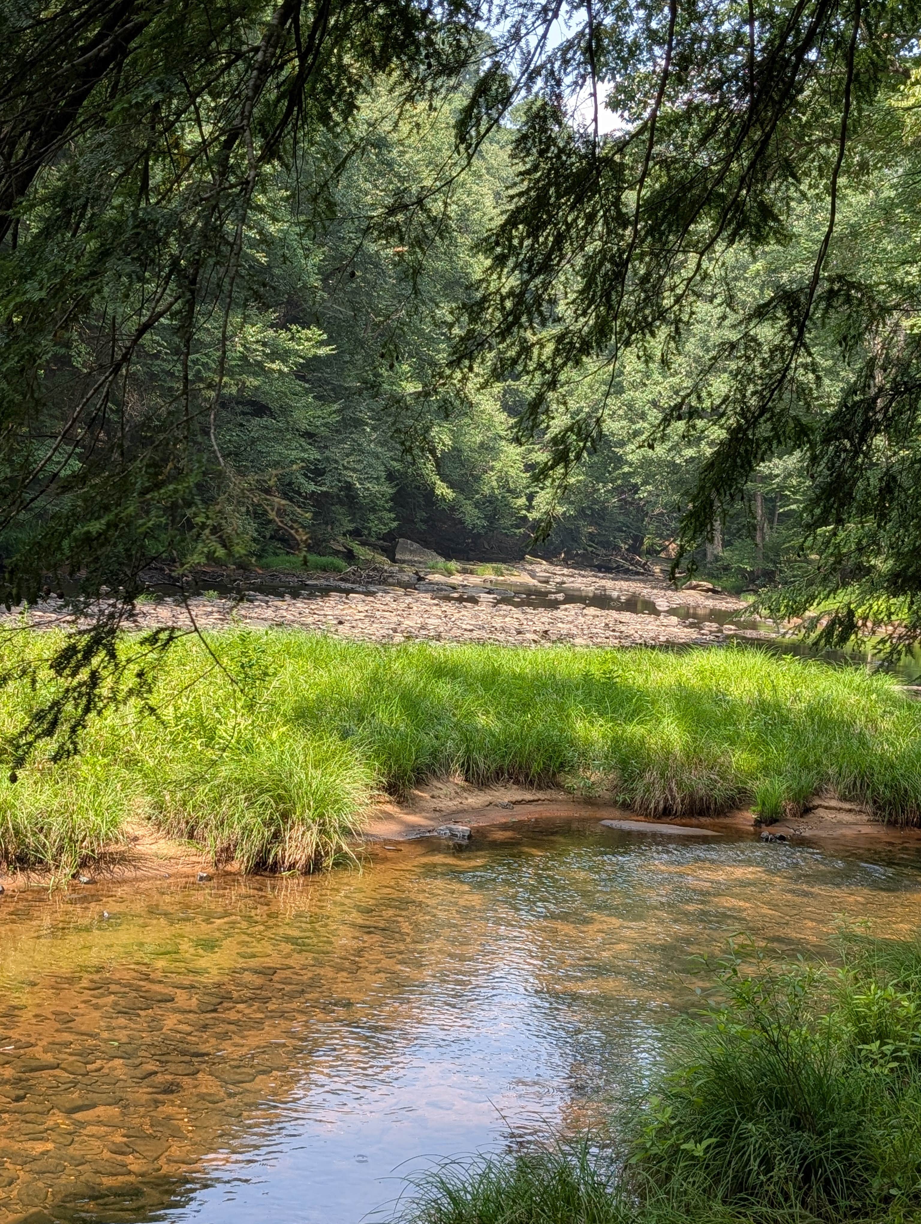 Camper-submitted photo at Clarion River Campground near Tionesta, PA