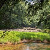 Review photo of Clarion River Campground by Dani T., August 7, 2025