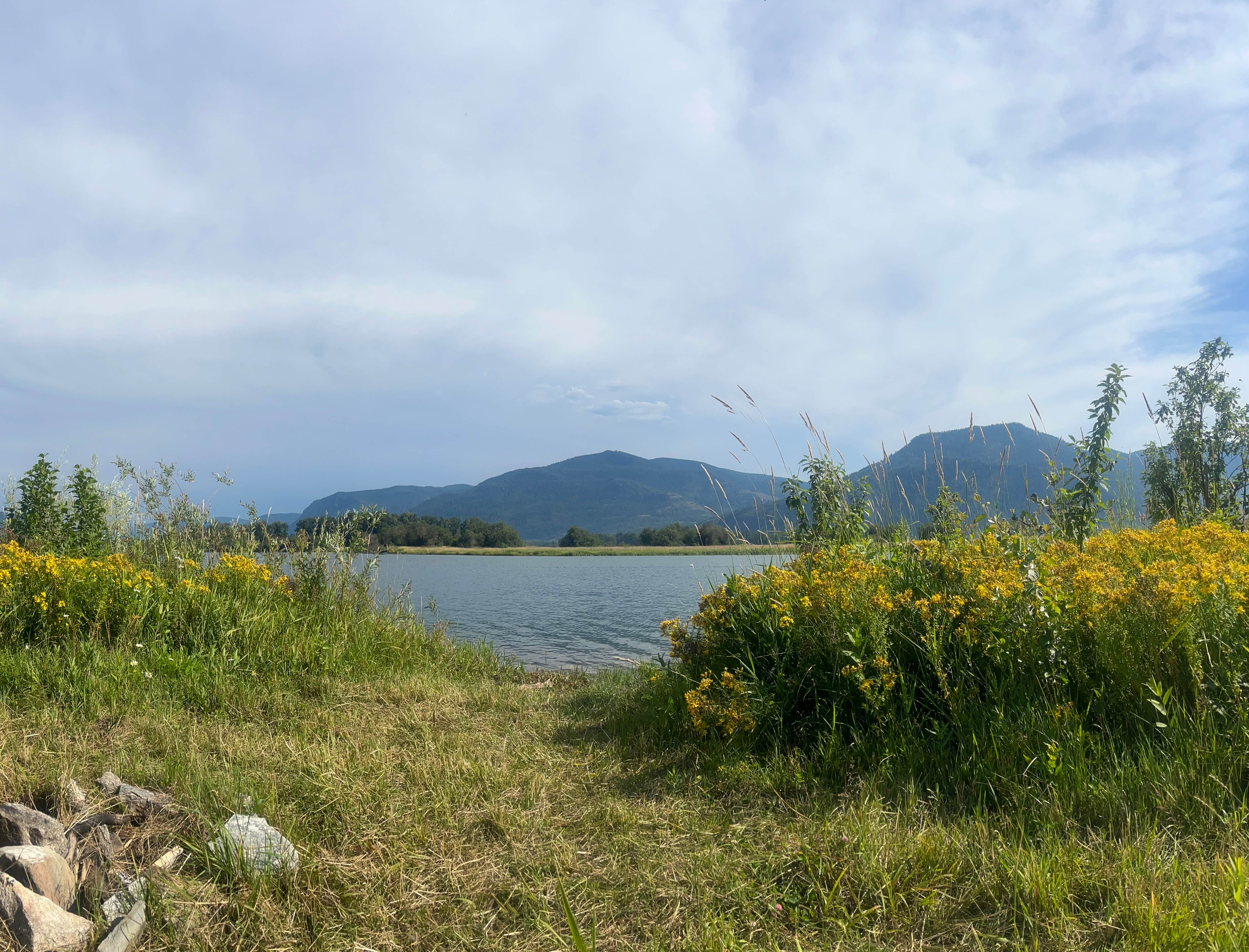 Camper-submitted photo at Clark Fork Drift Yard near Blanchard, ID