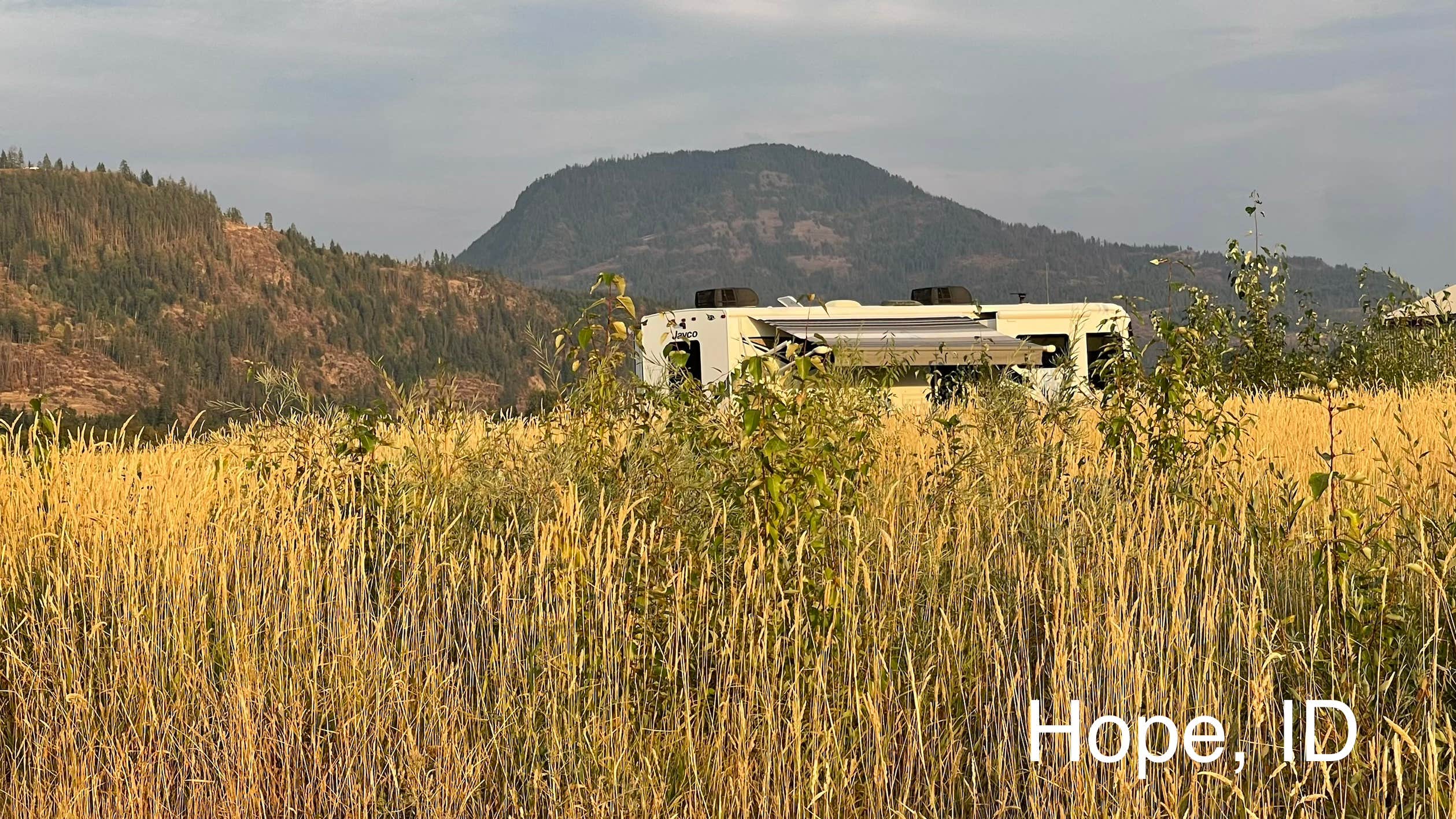 Camper-submitted photo at Clark Fork River Driftyard near Newport, WA