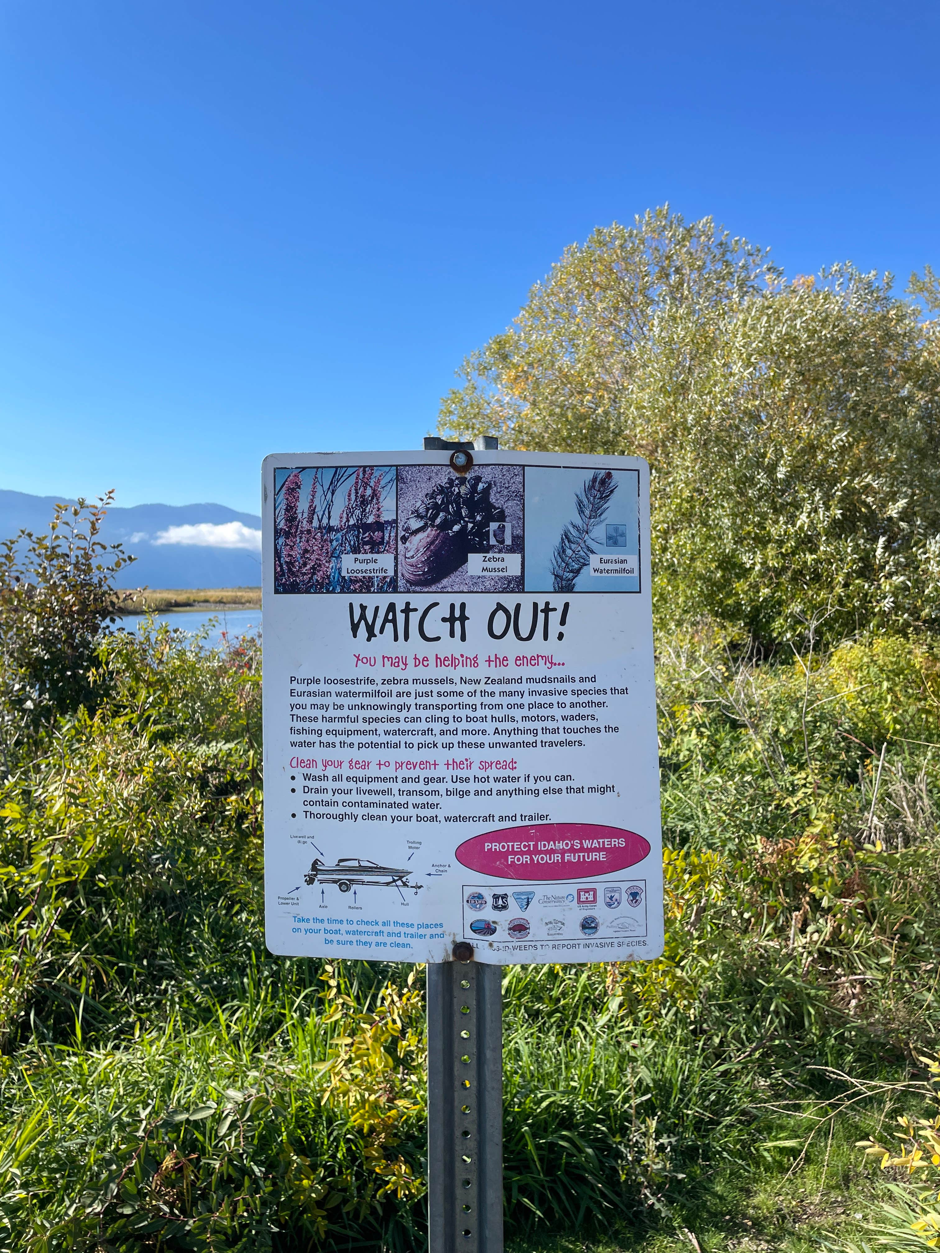 Camper-submitted photo at Clark Fork River Driftyard near Kootenai, ID