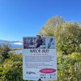 Review photo of Clark Fork River Driftyard by Connie H., October 16, 2025