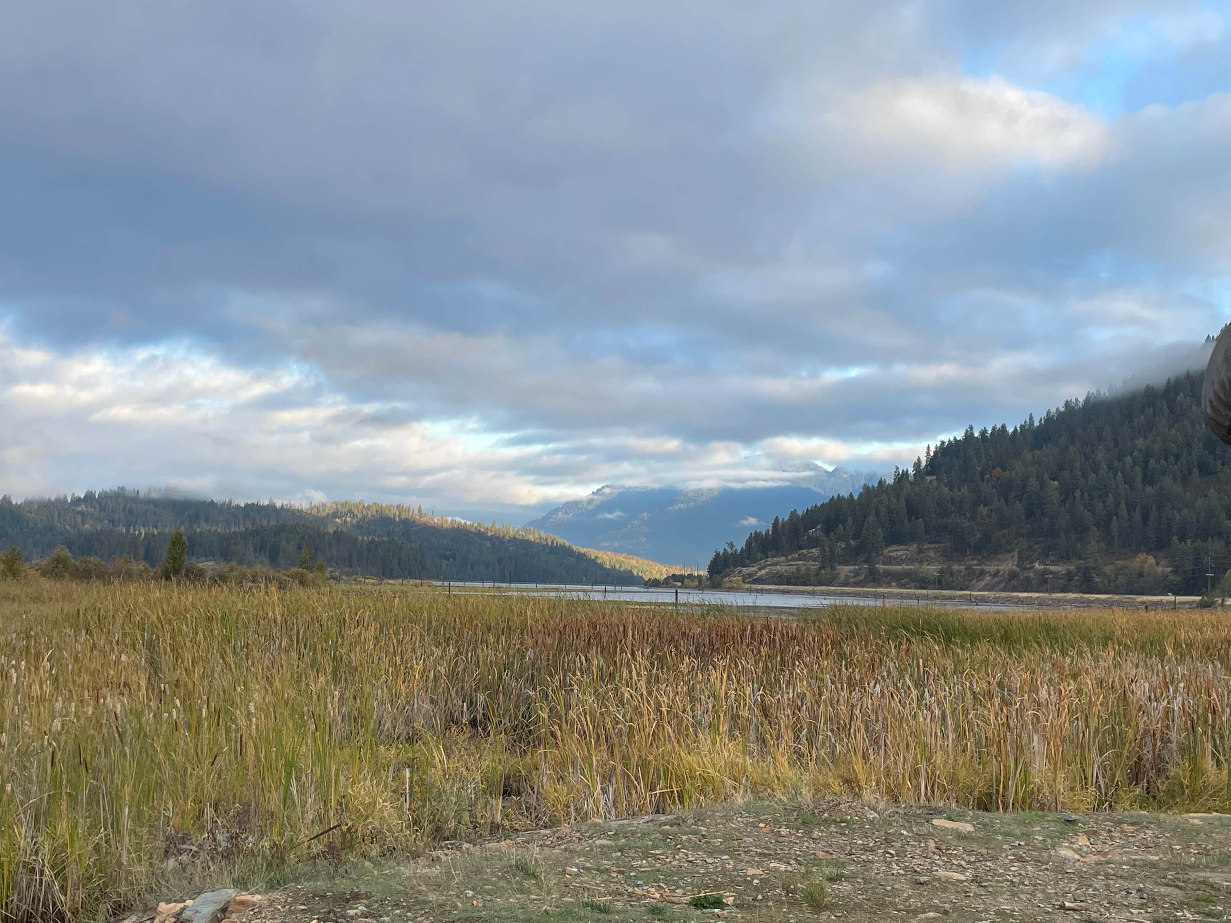 Camper submitted image from Clark Fork River Driftyard - 4