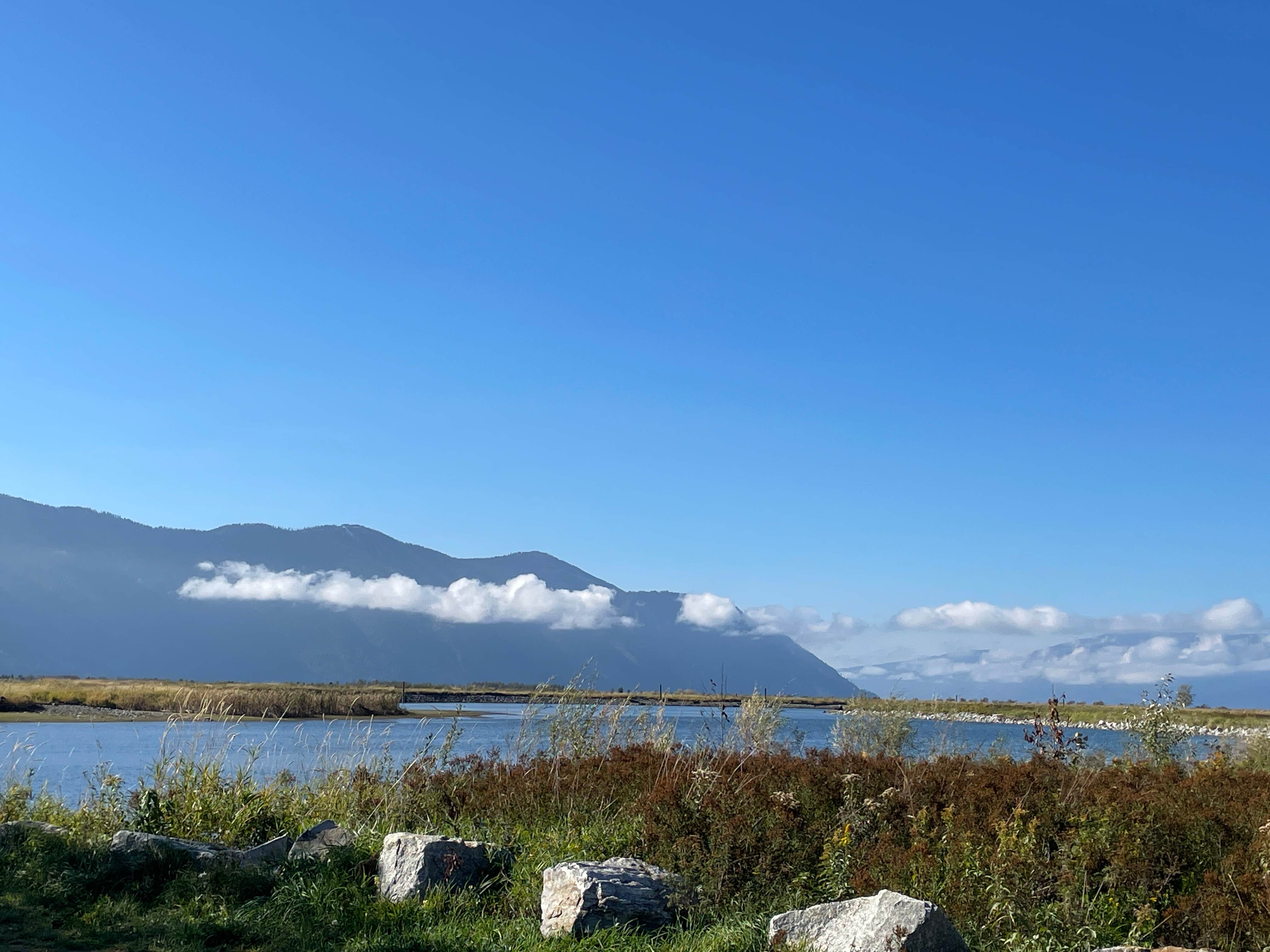 Camper submitted image from Clark Fork River Driftyard - 5