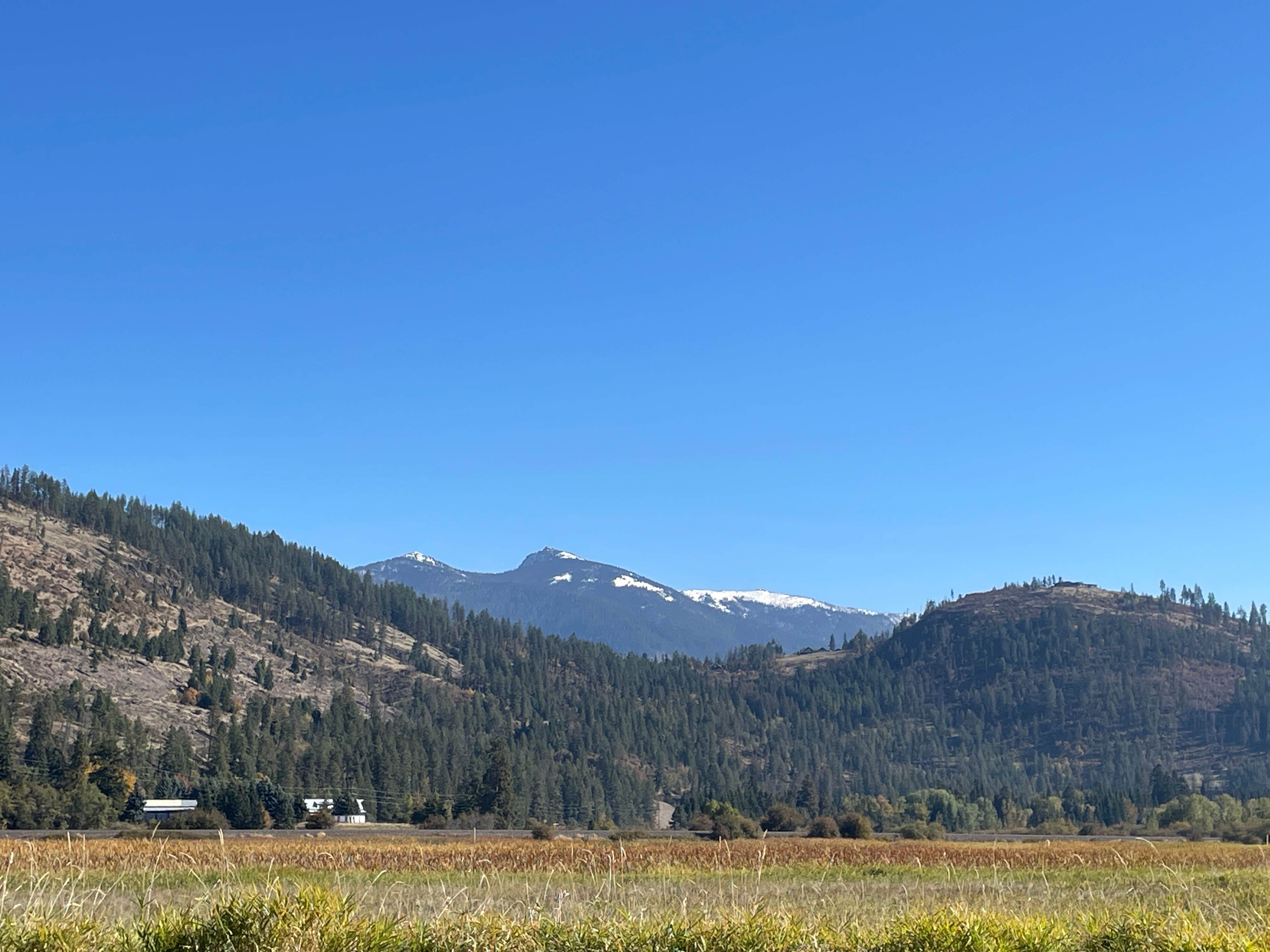 Camper submitted image from Clark Fork River Driftyard - 1