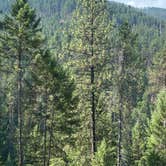 Review photo of Clark Fork River by Ernie J., September 29, 2026