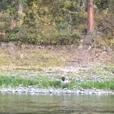Review photo of Clark Fork River by Ernie J., September 29, 2026