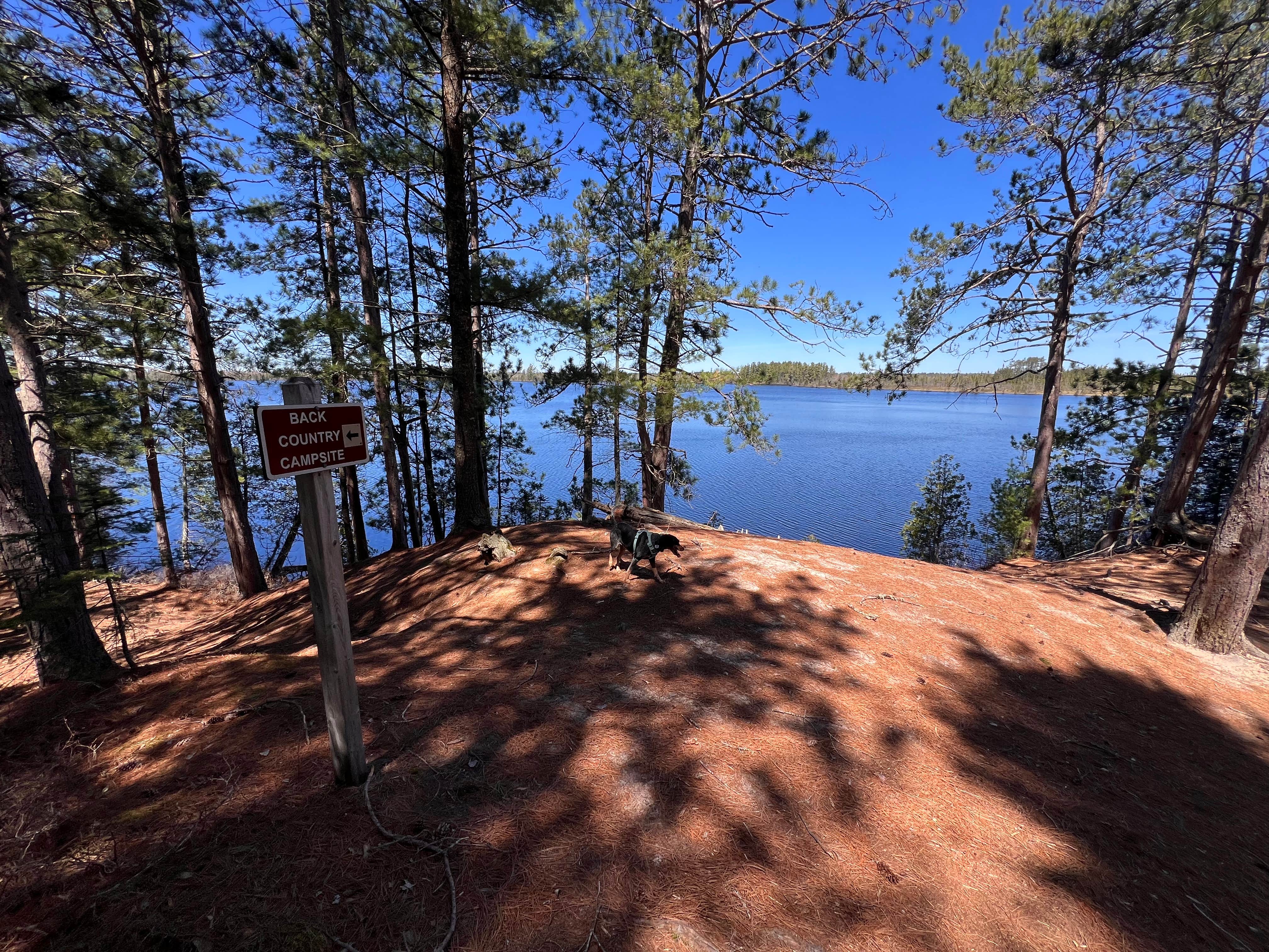 Camper-submitted photo at Clark lake campsite near Eckerman, MI