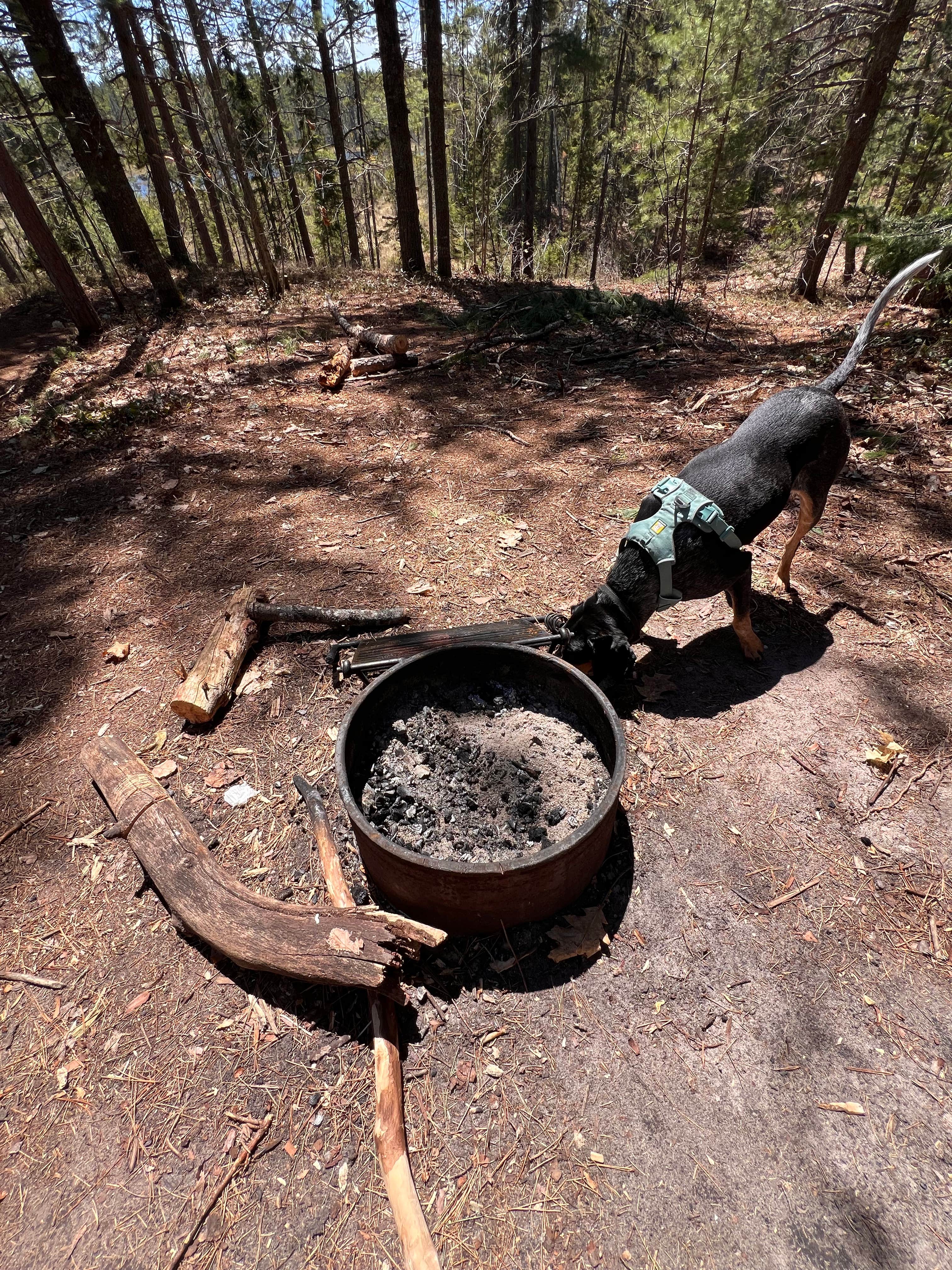 Camper-submitted photo at Clark lake campsite near Eckerman, MI
