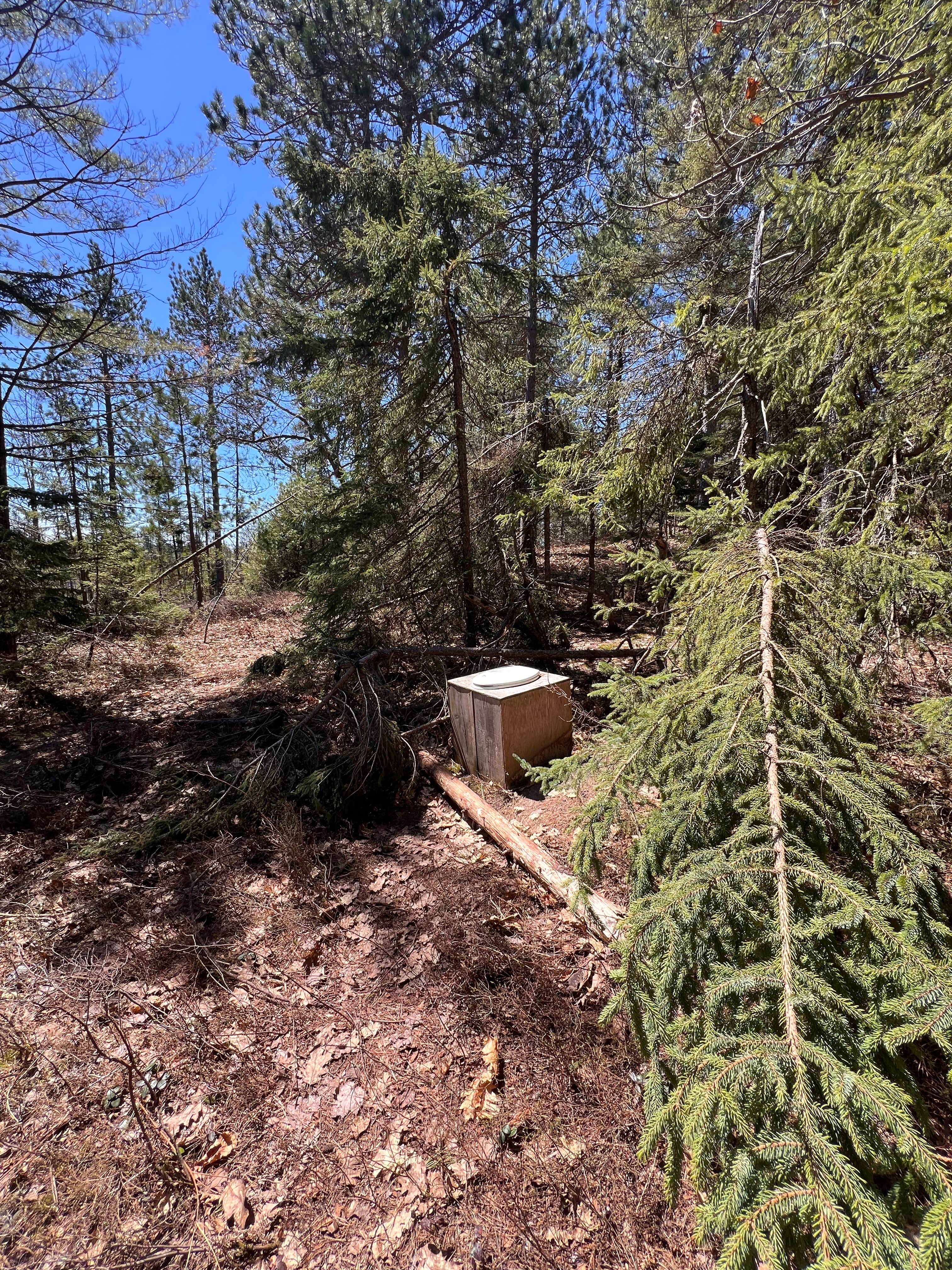 Camper-submitted photo at Clark lake campsite near Eckerman, MI