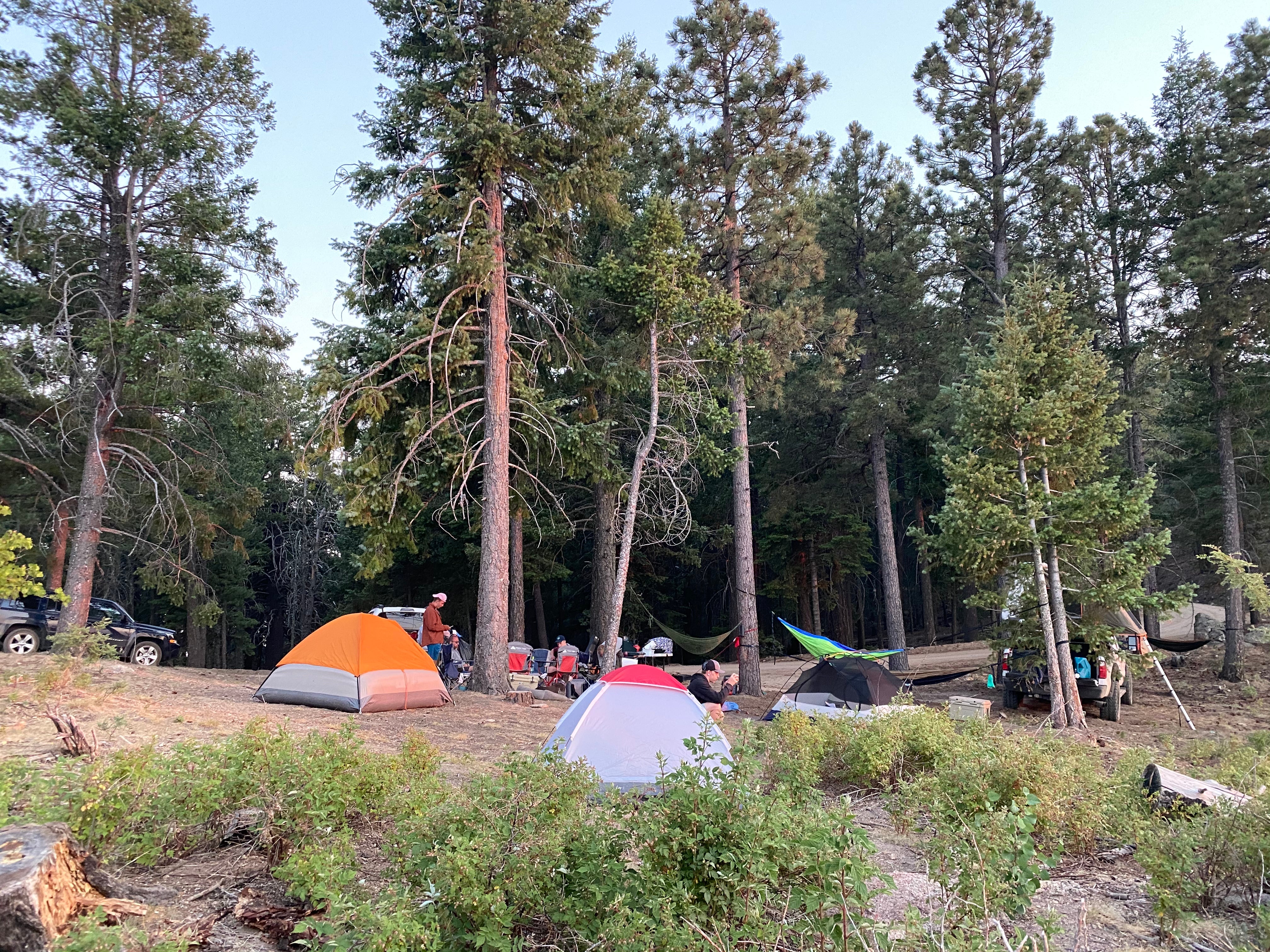 Camper submitted image from Clark Peak Corrals - 5