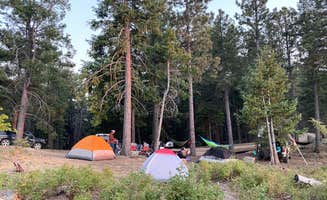 Beth G.'s photo at Clark Peak Corrals near Thatcher, AZ