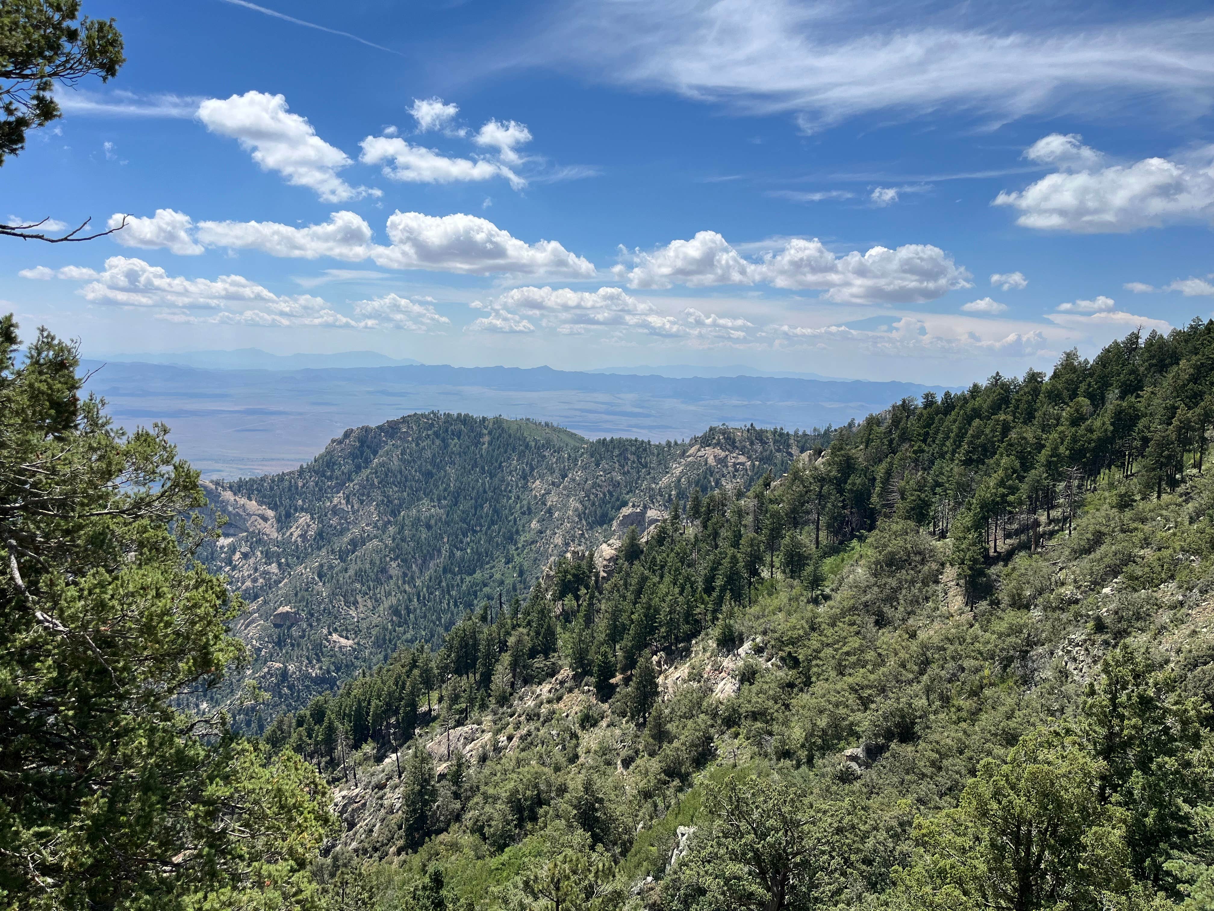 Ryan D.'s photo of a dispersed camping area at Clark Peak Dispersed Campsite near Pima, AZ