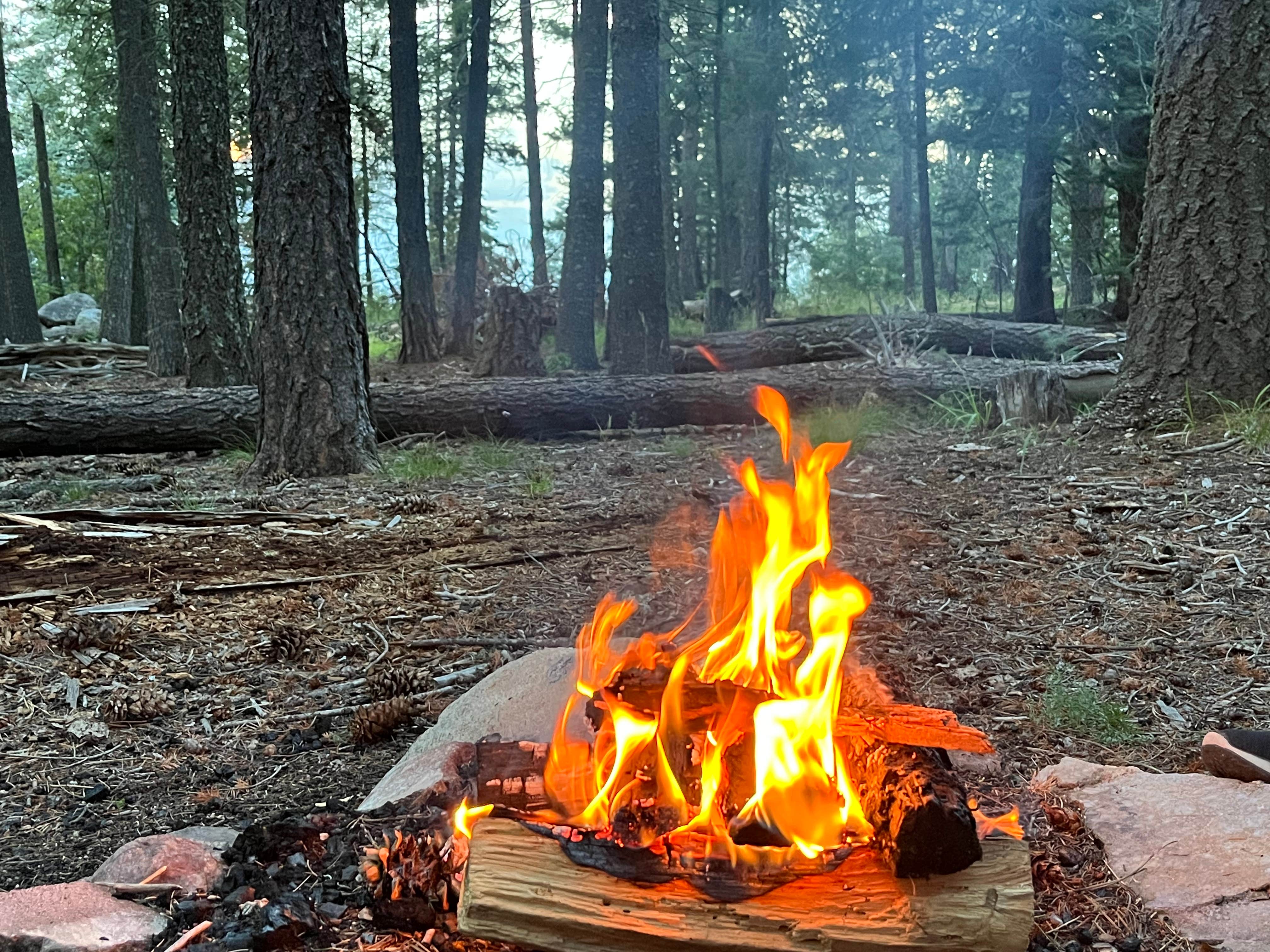 Camper submitted image from Clark Peak Dispersed Campsite - 1