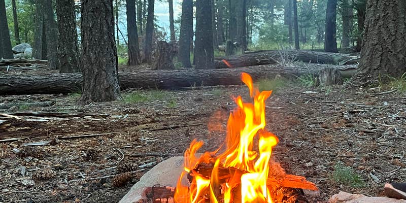 Camper submitted image from Clark Peak Dispersed Campsite