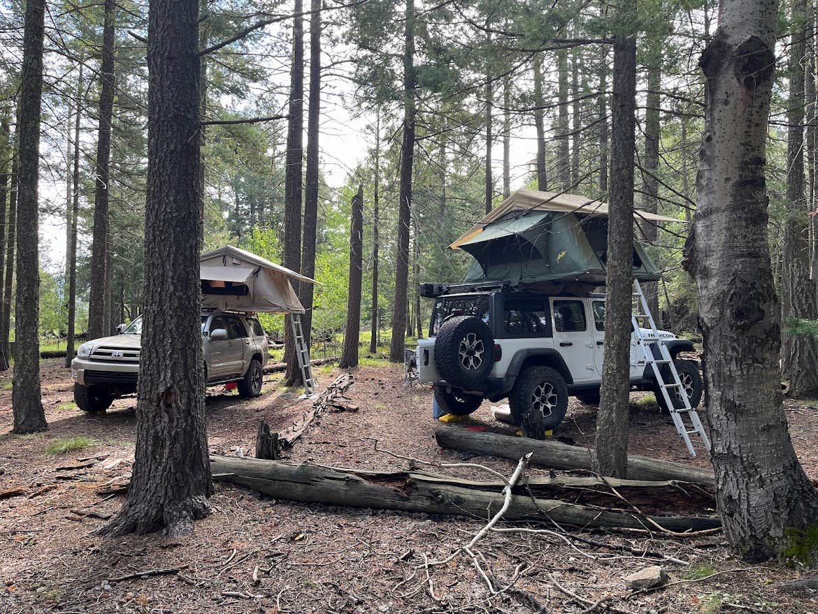 Camper-submitted photo at Clark Peak Dispersed Campsite near Pima, AZ