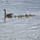 Review photo of Clark’s Ferry Recreation Area by Michi P., May 4, 2025