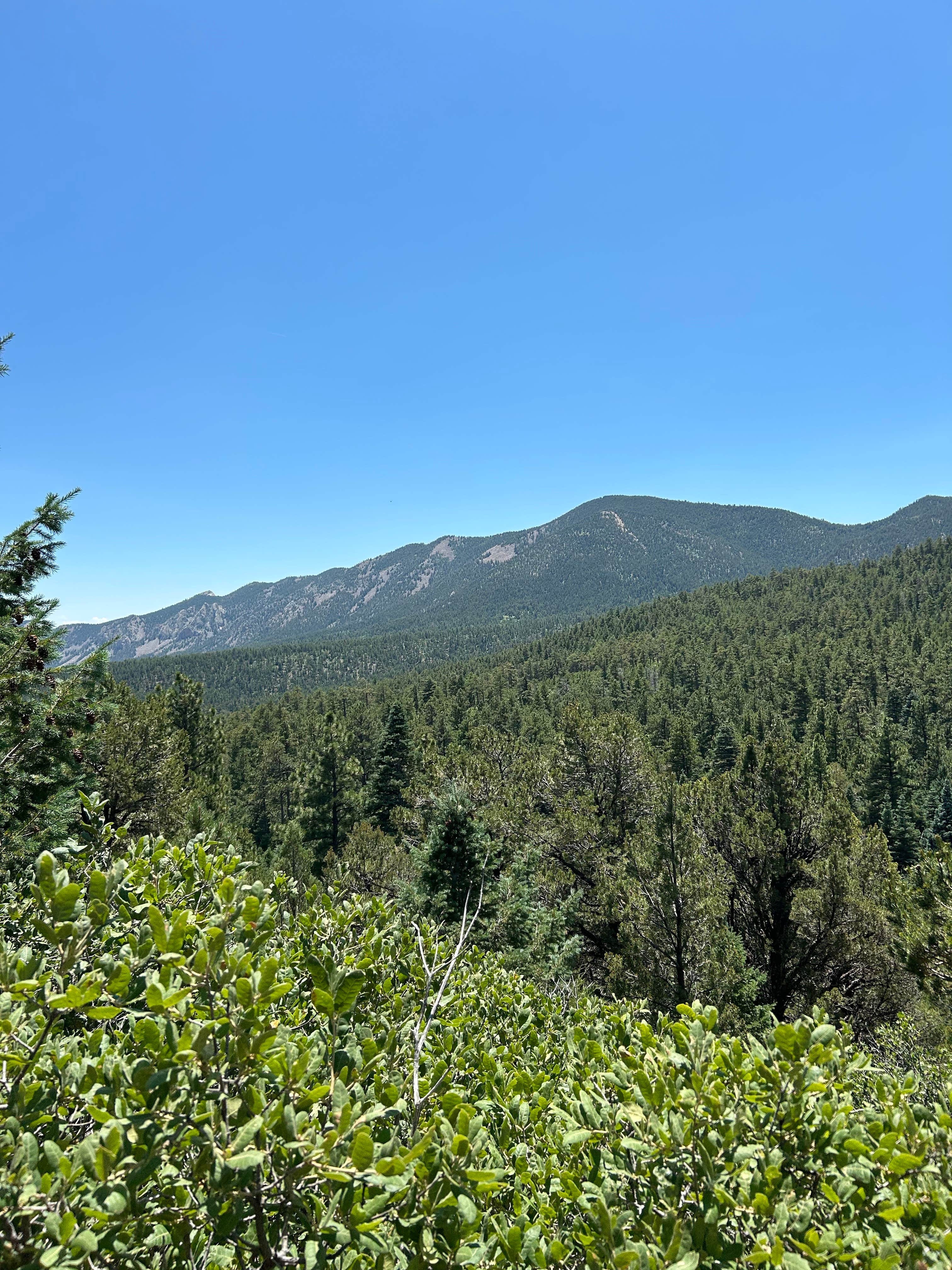 Camping near Devils Wash Basin: Clark’s Fork, Ute Park, New Mexico