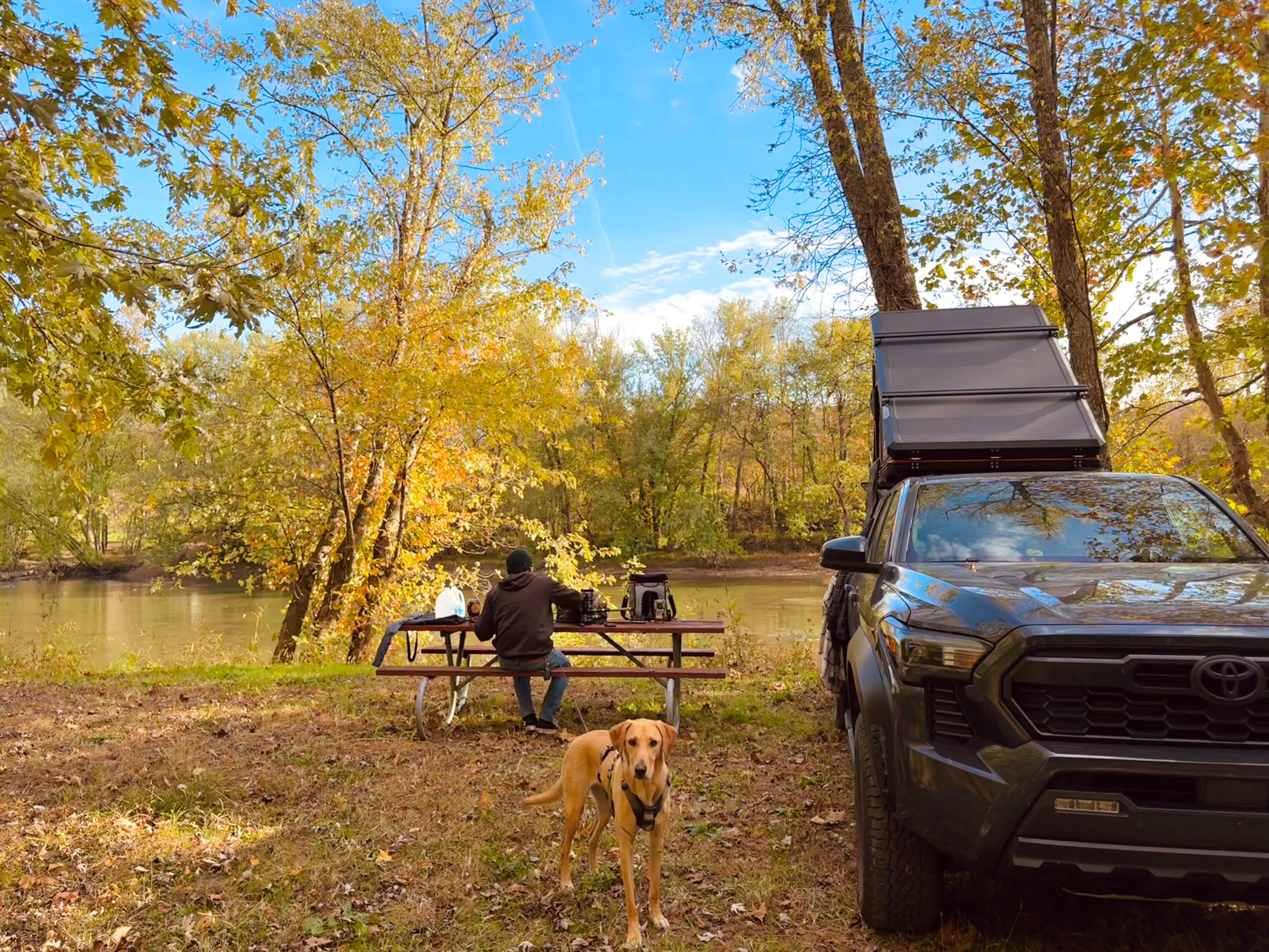 Aly E.'s photo of camping with pets at Clayton Geneva Memorial Campground near Laurel River Lake