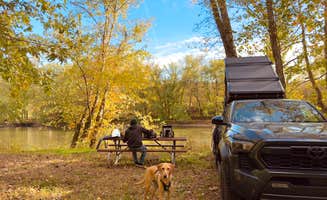 Aly E.'s photo of camping with pets at Clayton Geneva Memorial Campground near Laurel River Lake