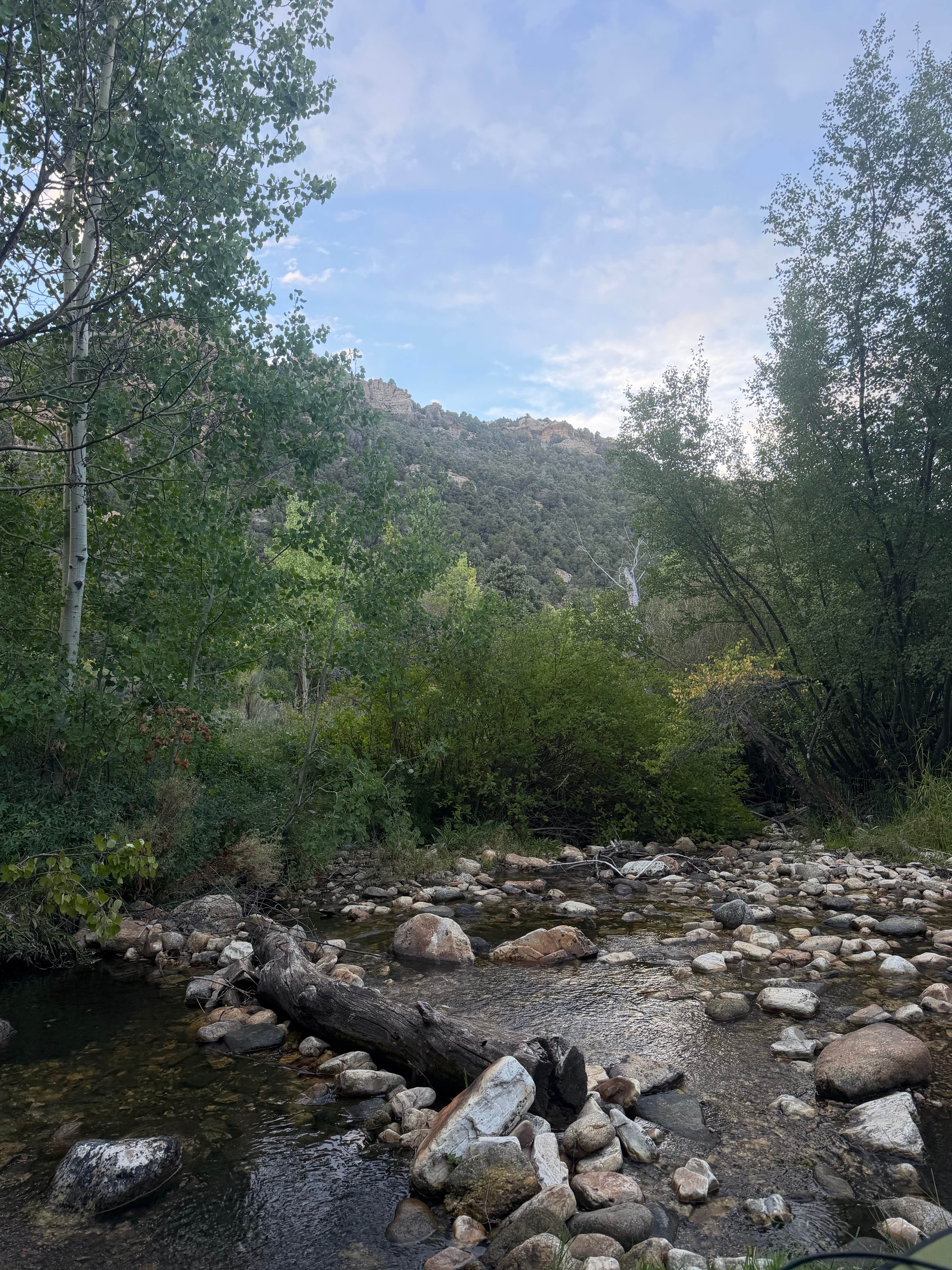Camper-submitted photo at Clear Creek Campground near Park Valley, UT