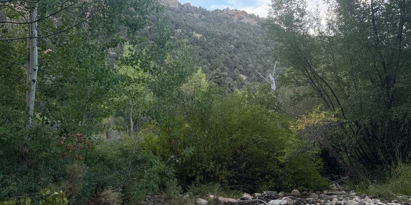 Camper submitted image from Clear Creek Campground