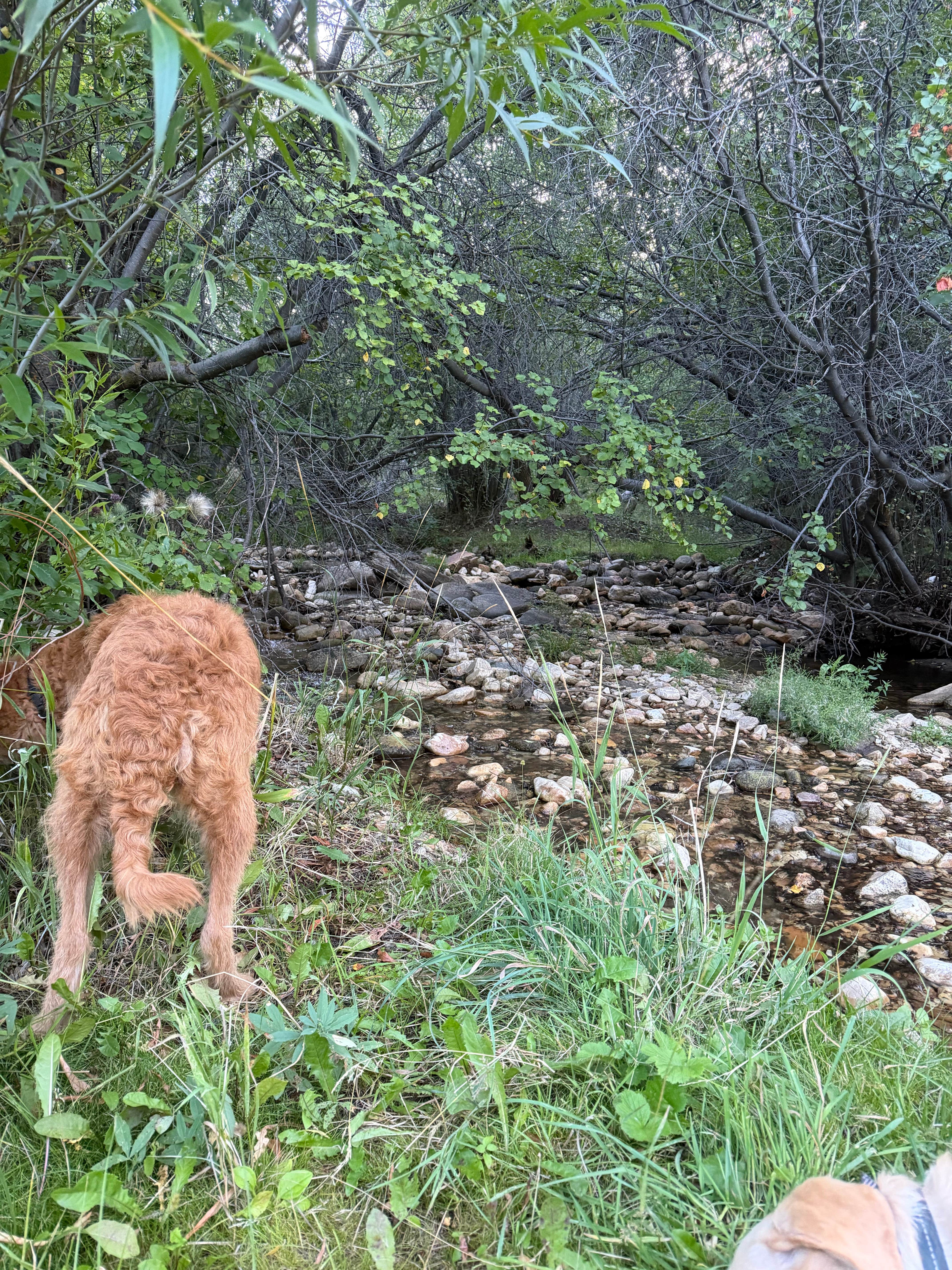 Clear Creek Campground