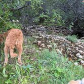 Review photo of Clear Creek Campground by Angela N., August 23, 2026