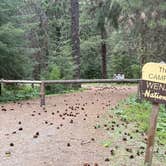 Review photo of Clear Lake Campgrounds by Carl S., May 16, 2025