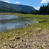 Review photo of Clear Lake Campgrounds by Brynn P., July 22, 2024