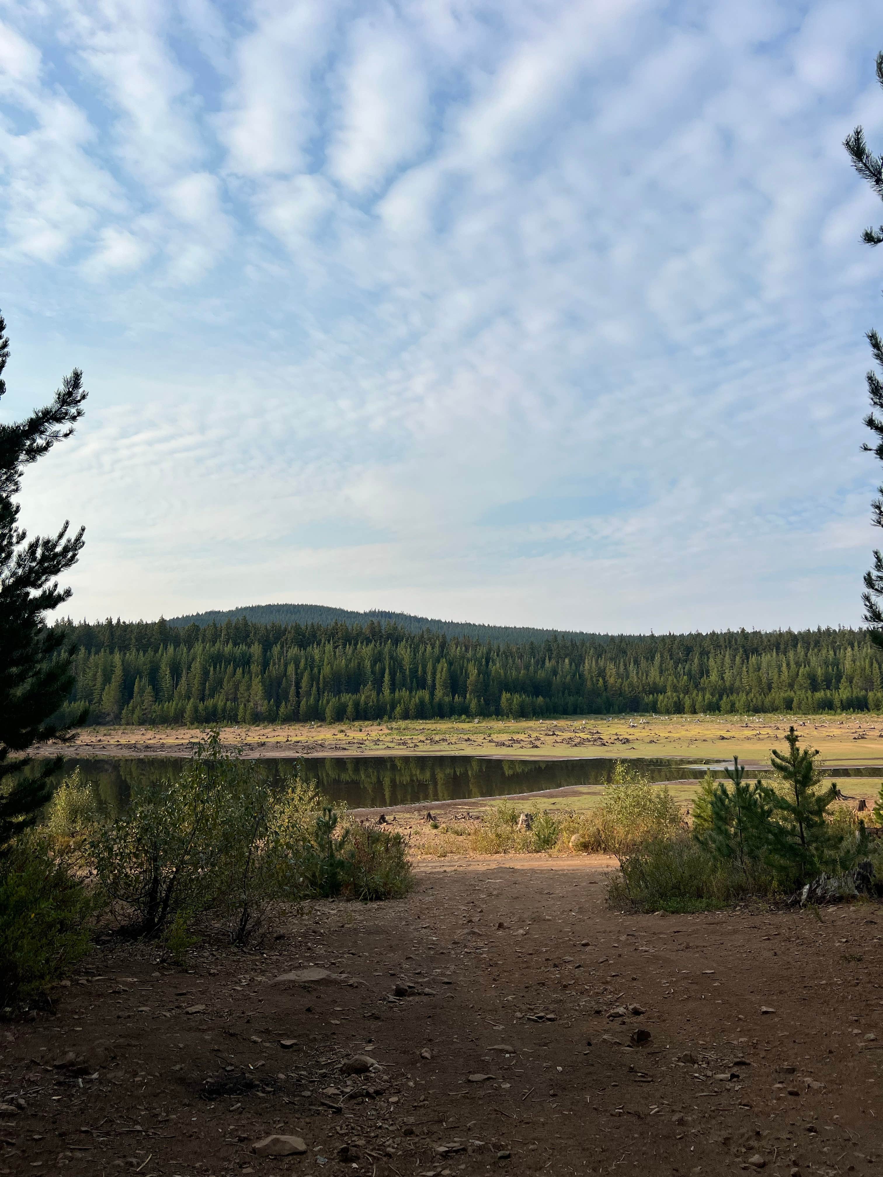 Camper-submitted photo at Clear Lake dispersed camping near Mt. Hood National Forest