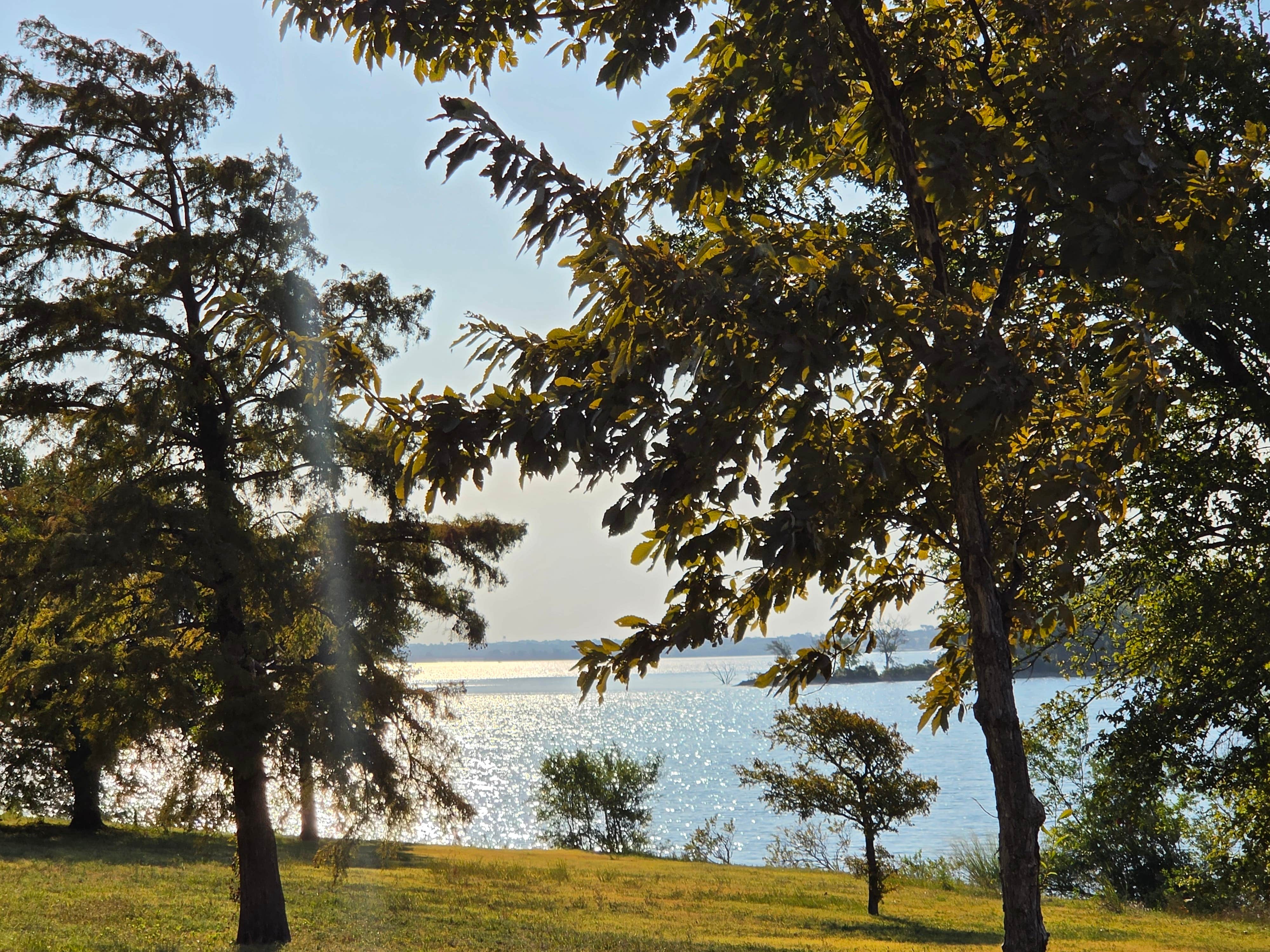 Camper-submitted photo at Clear Lake Park near Lavon Lake