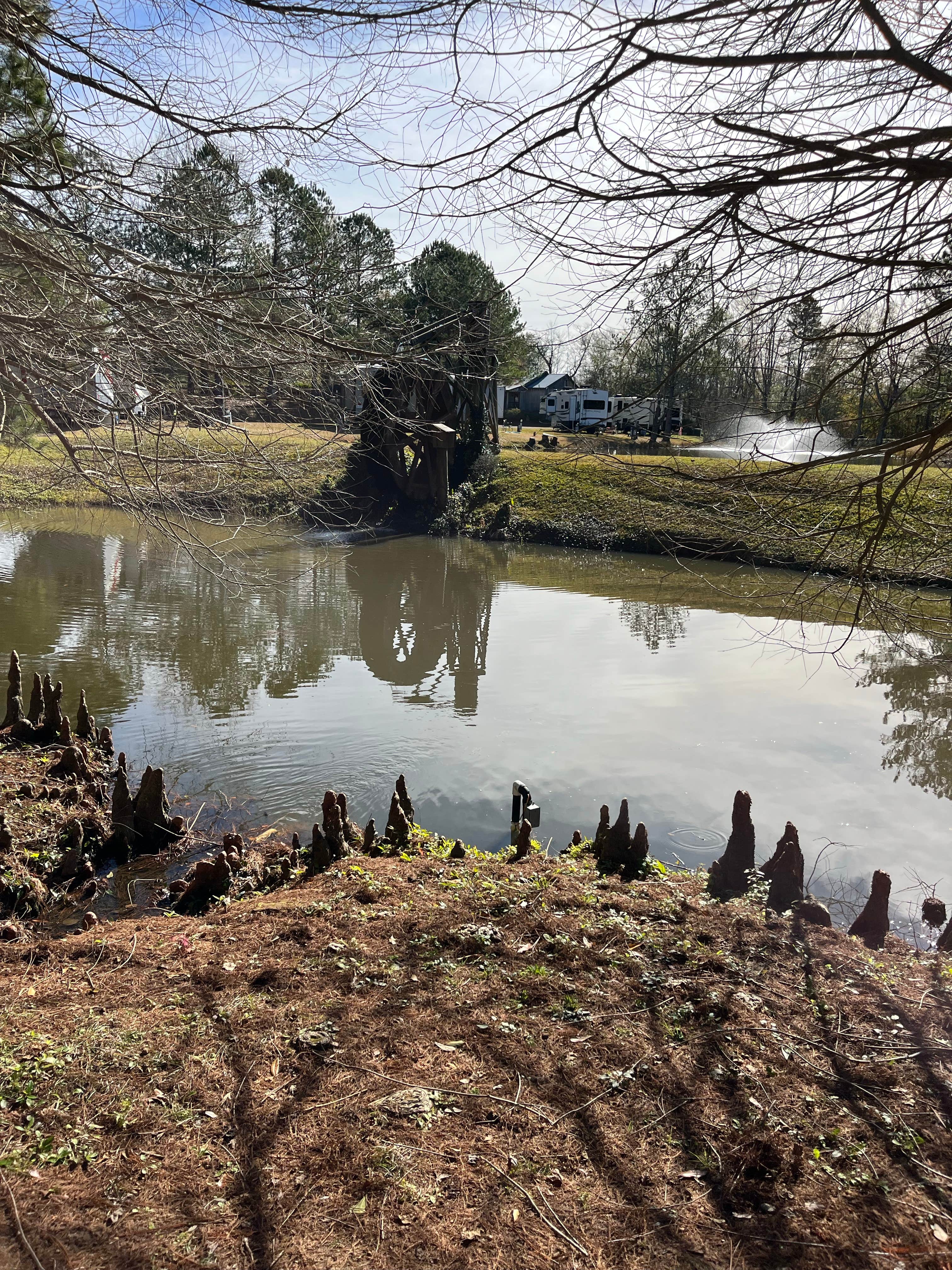 Camper-submitted photo at Clearwater RV Park near Picayune, MS