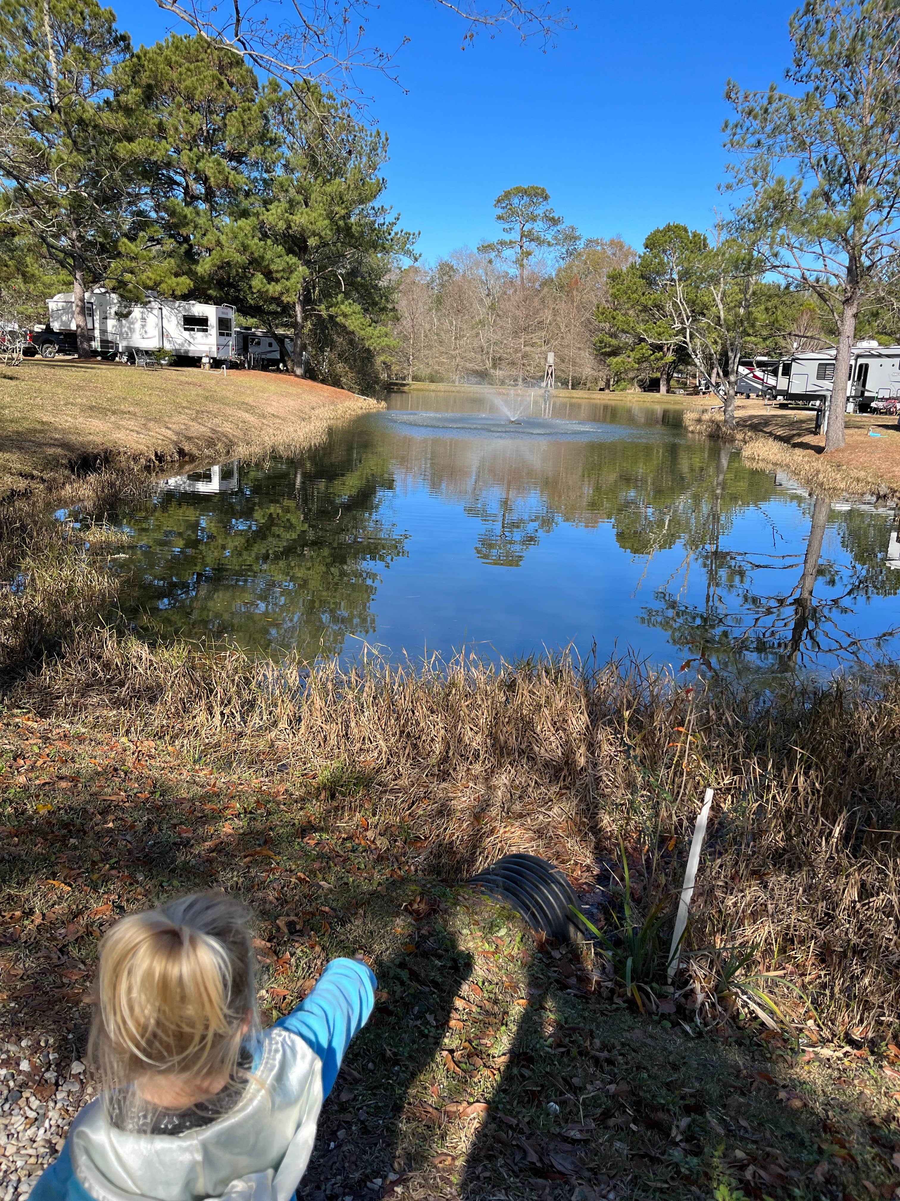 Camper-submitted photo at Clearwater RV Park near Picayune, MS